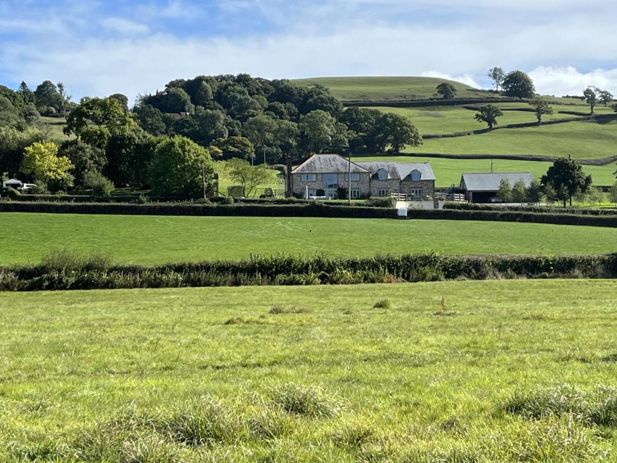 St Reatham Cottage Kilmington  Exteriér fotografie